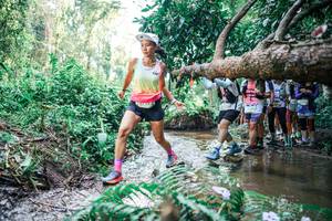 BIB: 
                            <button type="button" onclick="openModal(25469863)" class="btn btn-primary btn-sm float-right btn-popup" data-toggle="modal" data-target=".modal-high-quality">
                        <i class="fas fa-shopping-cart"></i> Add to Cart
                    </button>
                                            <button type="button" onclick="isThisMe(25469863, true)" class="btn btn-success btn-sm float-right btn-popup btn-isme hidden" data-toggle="tooltip" data-placement="bottom" title="นี่คือรูปของคุณใช่ไหม คลิกที่นี่เพื่อเอาเข้าอัลบั้ม">
                        <i class="fas fa-plus"></i> Add to album
                    </button>
                    <button type="button" onclick="isThisMe(25469863, false)" class="btn btn-warning btn-sm float-right btn-popup btn-isnotme hidden">
                        <i class="fas fa-ban"></i> Remove from album
                    </button>